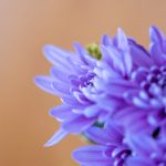 爱笑聚怎么了?揭示背后的故事与变化 1i5g2i