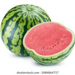 深入探讨EEUSSUE的定义及其在现代社会中的影响 7md1yrk4h