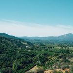 爱情岛论坛福利网址:探索最新福利信息与精彩内容分享 7obyyd