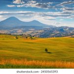 深入探讨Kuan on One:创新与合作的完美结合 92qp2g26