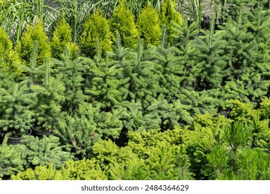 深入探讨cn5.ab101.wiki的功能与应用