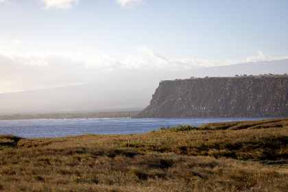真牛辅助论坛官网入口：探索最新辅助工具与用户交流平台