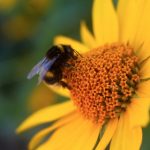 真不卡无广告app:畅享无干扰的极致使用体验与高效功能 d4al0