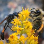 真不卡影视官方地址:畅享高清影视资源的最佳选择与指南 m8b64