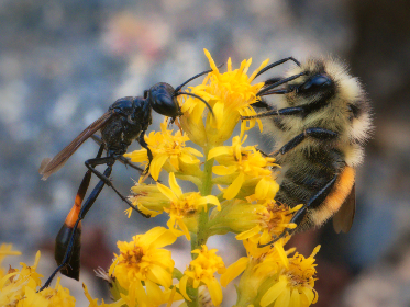 真不卡影视官方地址：畅享高清影视资源的最佳选择与指南