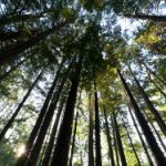 看番网站知乎:推荐最受欢迎的动漫观看平台与评价分析 qr3f56