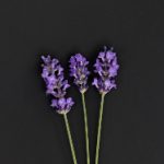 真不卡影视官方网址:畅享高清影视资源,尽在掌握之中 xb739o